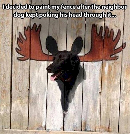 Dog sticking his head through a fence which has been painted to look like a moose head.