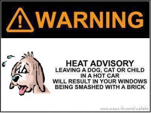 wylie-heat-advisory