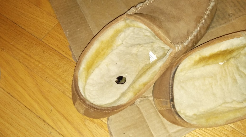 A slipper with a blueberry in it.